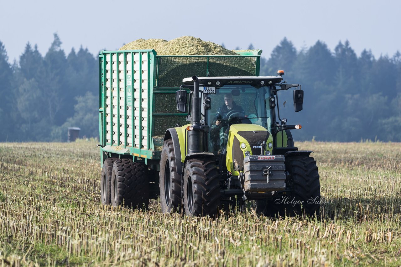 Bild 139 - Maisernte